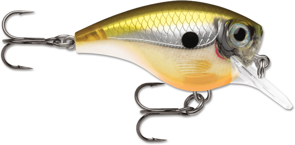 Rapala - BX Brat Mid - Hengelsport De Goeie Vangst
