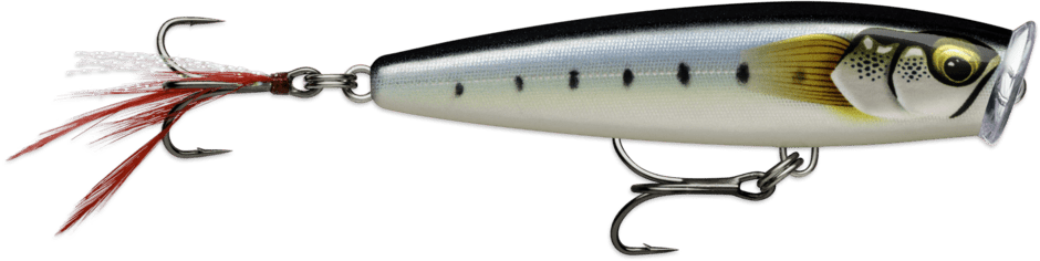 Rapala - Skitter Pop Elite - Hengelsport De Goeie Vangst