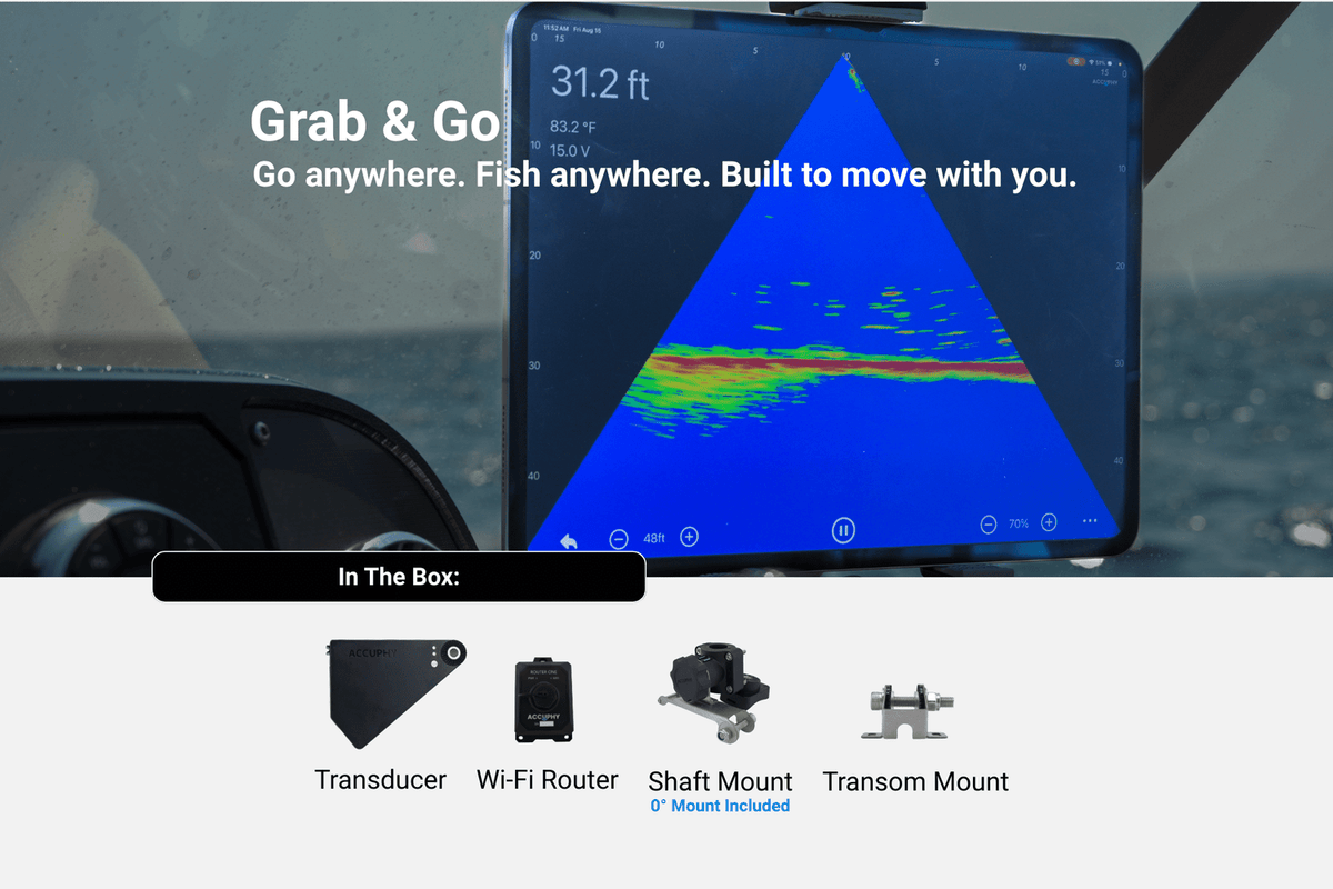 Accuphy-PingLive Mini Live Sonar - De Goeie Vangst