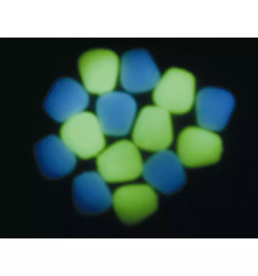 Enterprise Tackle - Pop - up Corn Niteglow - Hengelsport De Goeie Vangst