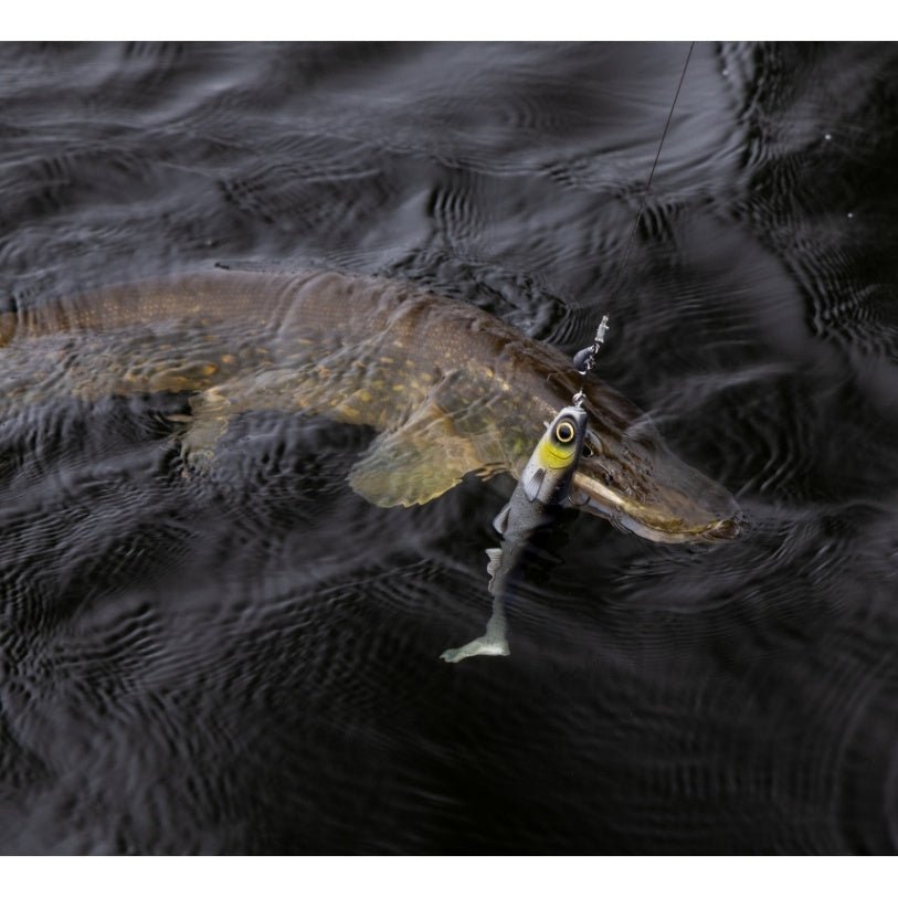 Kuore - Bigfoot Shad - - Hengelsport De Goeie Vangst
