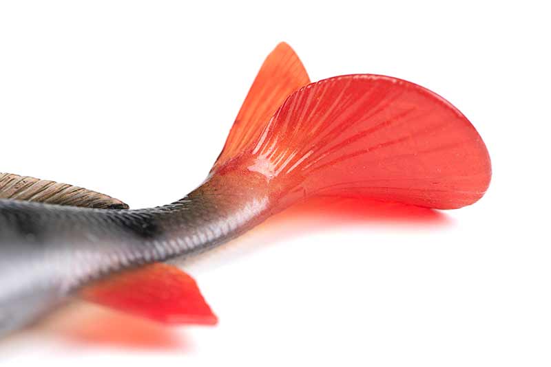 Fox Rage - Ultra Naturals Replicant Perch - Hengelsport De Goeie Vangst