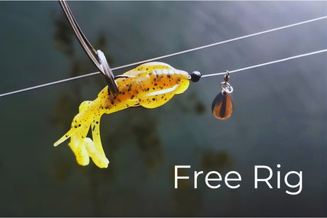 Free Rig: wat is het en hoe gebruik je het? (complete gids) - Hengelsport De Goeie Vangst
