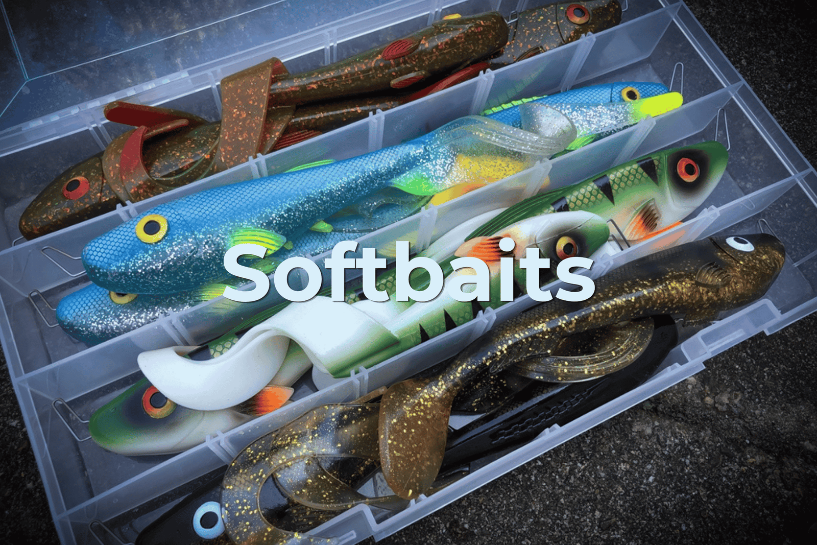 Softbaits voor roofvis: zo vis je succesvol met shads