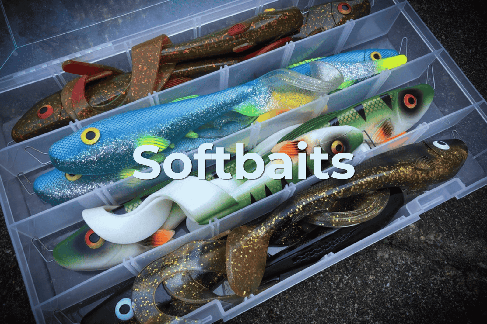 Softbaits voor roofvis: zo vis je succesvol met shads - Hengelsport De Goeie Vangst