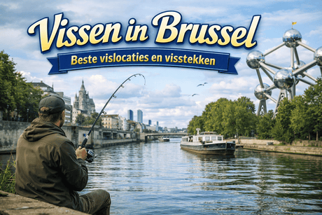 Vissen in Brussel: beste vislocaties en regels - Hengelsport De Goeie Vangst
