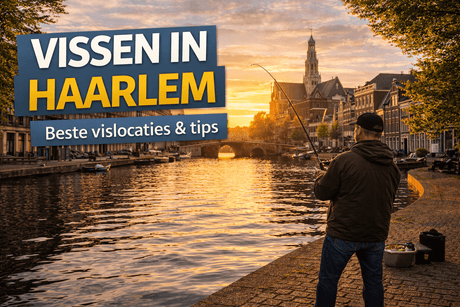 Vissen in Haarlem: beste vislocaties en tips - Hengelsport De Goeie Vangst