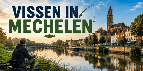 Vissen in Mechelen: beste vislocaties en visstekken - Hengelsport De Goeie Vangst