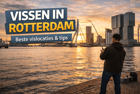 Vissen in Rotterdam: beste vislocaties en tips - Hengelsport De Goeie Vangst