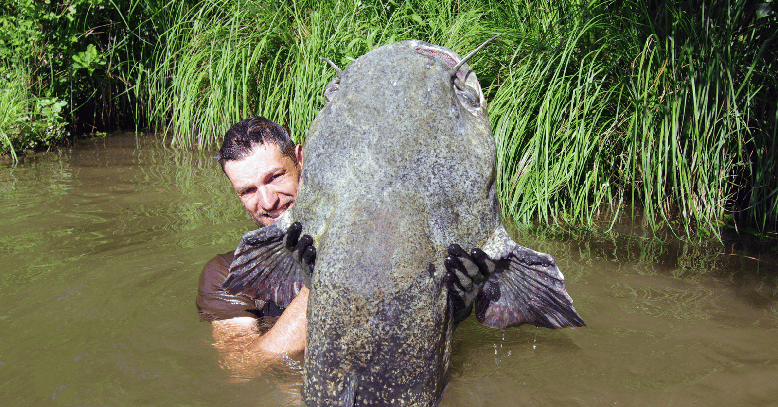 Zo vang je meerval: complete gids voor beginners - Hengelsport De Goeie Vangst