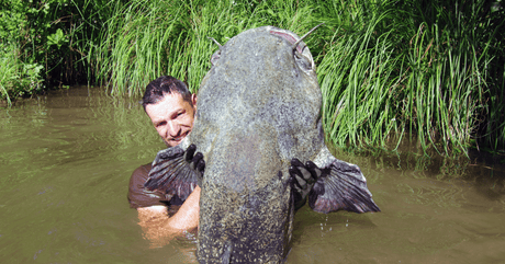 Zo vang je meerval: complete gids voor beginners - Hengelsport De Goeie Vangst