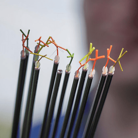 Elastieken & Toebehoren - Hengelsport De Goeie Vangst