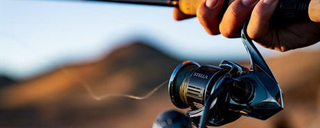 Zeevismolens - Hengelsport De Goeie Vangst