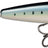 Rapala-Skitter Pop Elite-Gilded Maiwashi-7.5cm-Hengelsport De Goeie Vangst