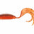 Z-Man-St GrubZ Twister-Calico Candy-6cm-Hengelsport De Goeie Vangst