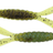 Z-Man-Baby Goat 3"-Hot Snakes-7.5cm-Hengelsport De Goeie Vangst