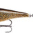 Rapala-Skitter Pop-Live Field Mouse-5cm-Hengelsport De Goeie Vangst