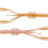Keitech-Neco Camaron 5.5 Inch-Electric shrimp-14cm-Hengelsport De Goeie Vangst