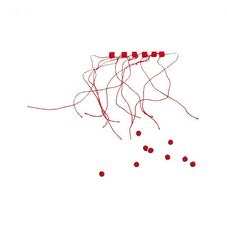 Water Queen - Queen Stuitjes + Kralen - Hengelsport De Goeie Vangst