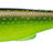 Gunki-Gunzilla Softbait-UV Fire Pike-19cm-Hengelsport De Goeie Vangst