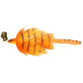 Bim Tackle-ChaCha Bait Jr.-Mad Tiger-20cm-Hengelsport De Goeie Vangst