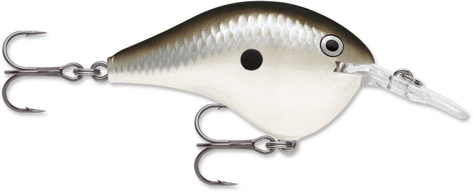 Rapala - DT - 8 - Hengelsport De Goeie Vangst