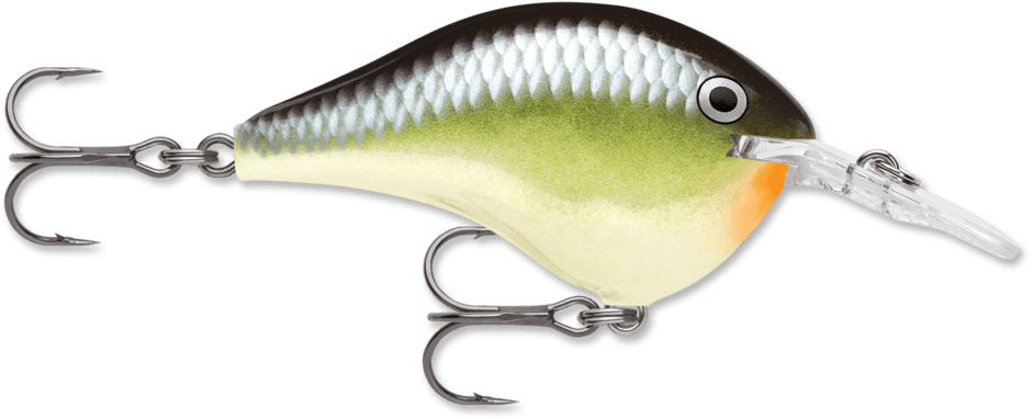 Rapala - DT - 8 - Hengelsport De Goeie Vangst