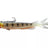 Prorex-V-Marley Pelagic Shad-Natural UV Perch-21cm-Hengelsport De Goeie Vangst