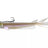 Prorex-V-Marley Pelagic Shad-Wakasagi-21cm-Hengelsport De Goeie Vangst