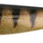 Fox Rage-Pro Shad Natural Classic 2-10cm-Perch-Hengelsport De Goeie Vangst