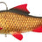 Fox Rage-Replicant Realistic Roach-Super Hot Roach-14cm-Hengelsport De Goeie Vangst