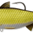 Livetarget-Golden Shiner Swimbait-Gold/Black-15cm-Hengelsport De Goeie Vangst