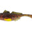 Westin-Gunnar The Goby Shad – Blisterverpakking-Appleseed-8cm-Hengelsport De Goeie Vangst
