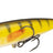 Strike King-KVD Sexy Dawg-Sugar daddy-11.5cm-Hengelsport De Goeie Vangst