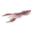 Nays-CRTR (Creature)-C13-3" / 7.6cm-Hengelsport De Goeie Vangst