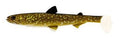 Westin-Hypoteez Shadtail-Natural pike-11.5 cm-Hengelsport De Goeie Vangst