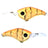 River7-MD Two Tone Crankbait-Craw Orange-6cm-Hengelsport De Goeie Vangst