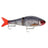 Rapala-Super Shadow Rap Glide-11cm-Live Roach-Hengelsport De Goeie Vangst