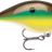Rapala-DT-4-Bream-5cm-Hengelsport De Goeie Vangst