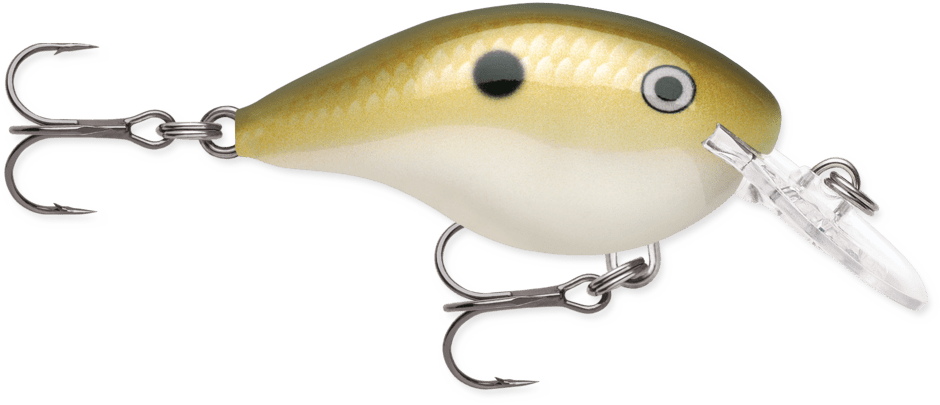 Rapala - DT - 4 - Hengelsport De Goeie Vangst