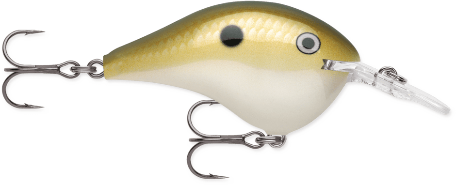 Rapala - DT - 6 - Hengelsport De Goeie Vangst