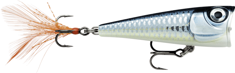 Rapala - X - Light Pop - Hengelsport De Goeie Vangst