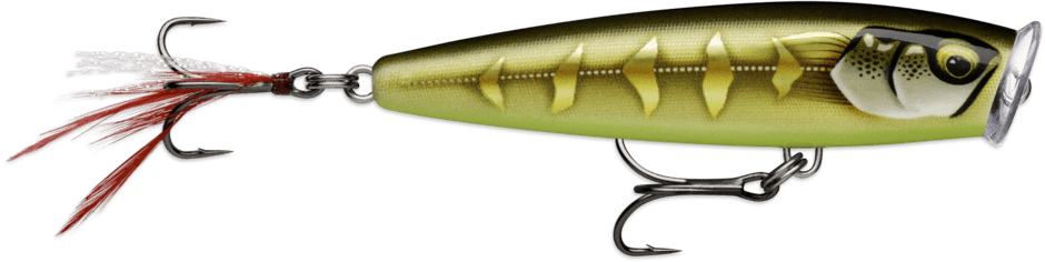 Rapala - Skitter Pop Elite - Hengelsport De Goeie Vangst