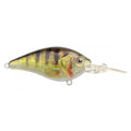 Spro-Ikiru Crank Long Lip-Zander-6 cm-Hengelsport De Goeie Vangst