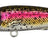 Spro-Iris The Kid-Rainbow Trout-5.8cm-Hengelsport De Goeie Vangst