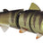 Spro-BBZ-1 Swimbait 60 Fast Sinking-Wicked Perch-15cm-Hengelsport De Goeie Vangst