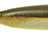 Strike Pro-Piglet Shad-Alcatraz-10cm-Hengelsport De Goeie Vangst