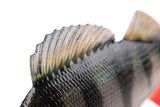 Fox Rage - Ultra Naturals Replicant Perch - Hengelsport De Goeie Vangst