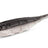 Nays-VNM Shad-3.5" / 8.9cm-C14-Hengelsport De Goeie Vangst