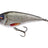 Westin-Swim Glidebait Suspending-12cm-Real Roach-Hengelsport De Goeie Vangst